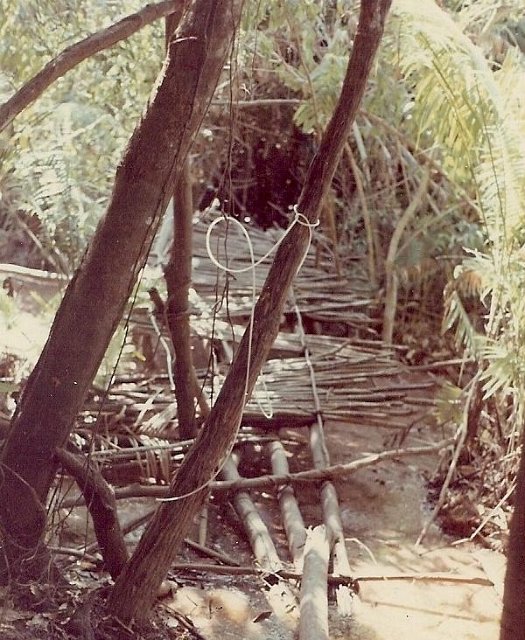 Bridge through jungle 2